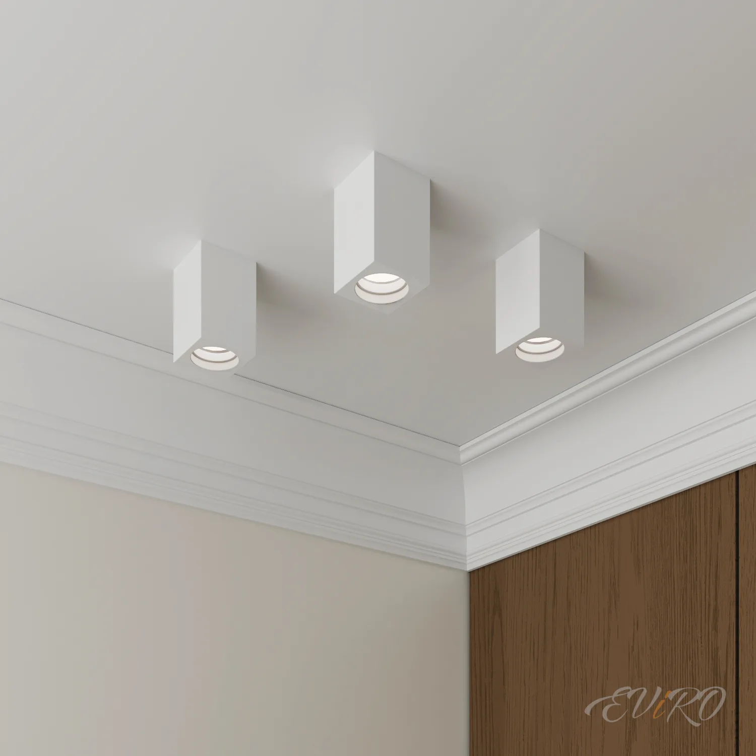 Потолочный светильник EViRO ПС 2